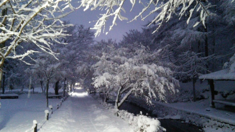 2168A73E5660090E1BBA00