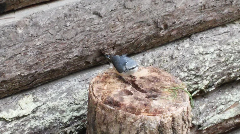 99B0A1335984F87D1929EA