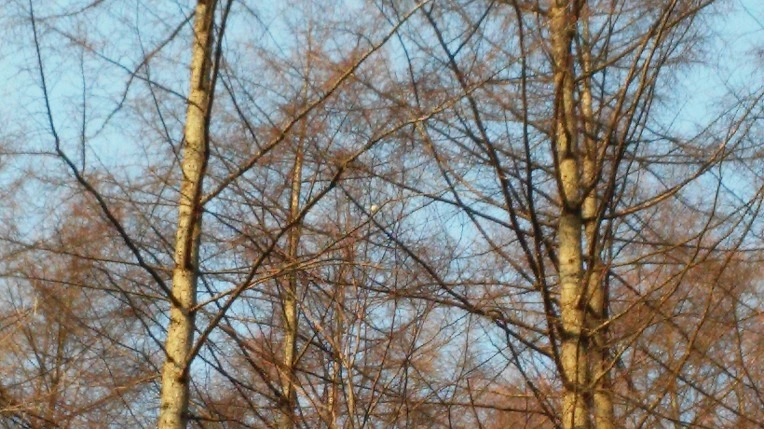 216FDF3A56F721BA20DF88