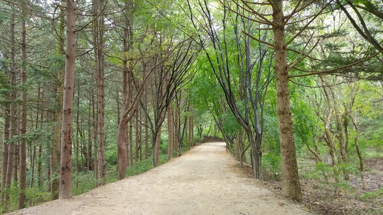 998A4F4F5D9ACD70054D0A