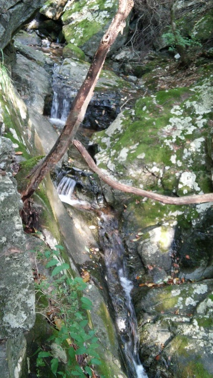 2445D542560FBC8F23A8FF