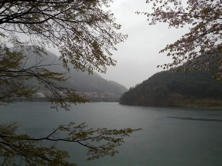 262FDD4B56946D1D299118