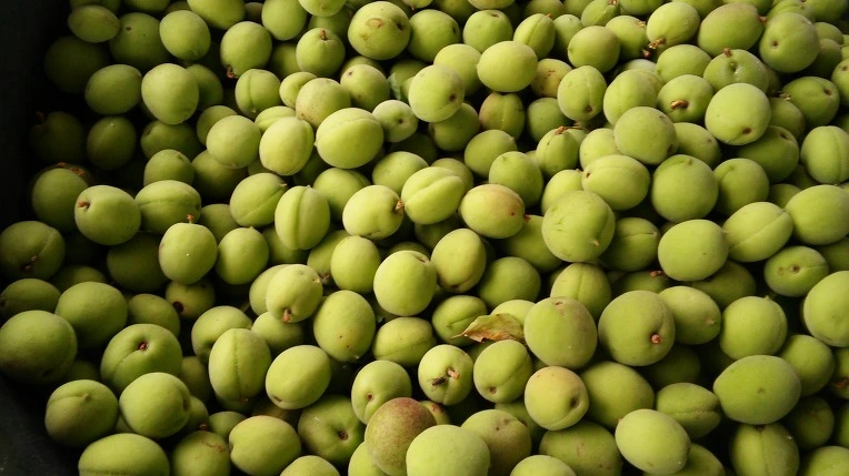 214A8A3F5756174A0500D4