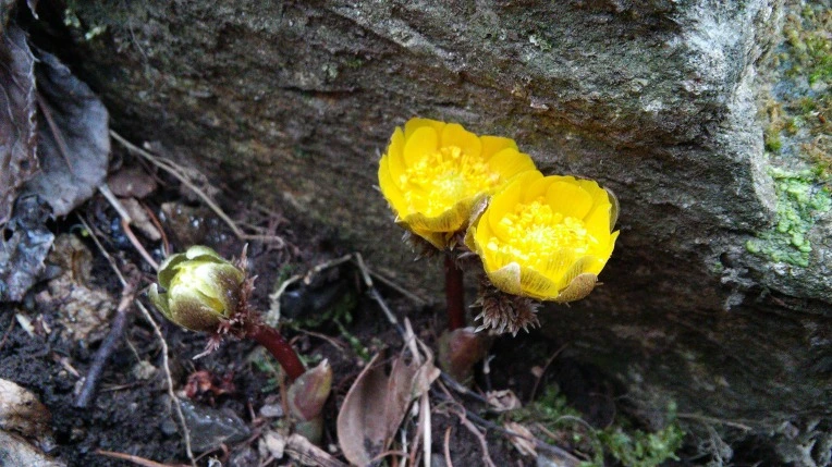 2141764056D1087C1BE7CB