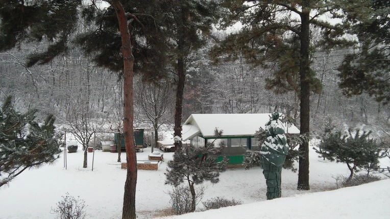 265D07395881894317252B