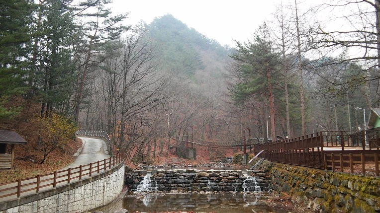 2654593A58DDF72634C7DD