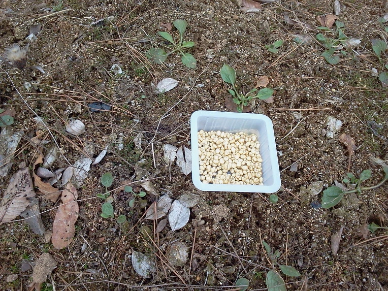 2216583A51578B022BE47B