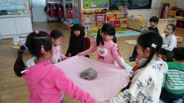 256DD443566907A8377181