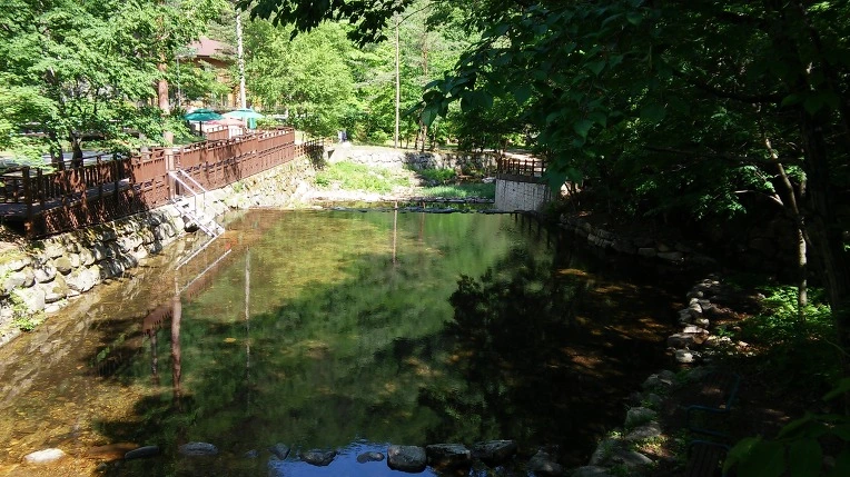 240D8B3B5931DE6E0DC145