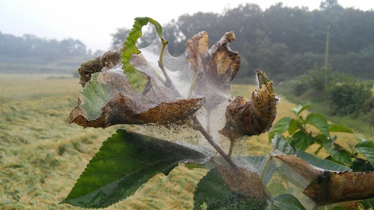 272A714A57E702001F5ACB