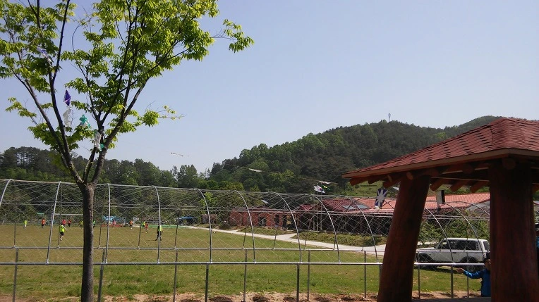 264F0334572E69A225606F