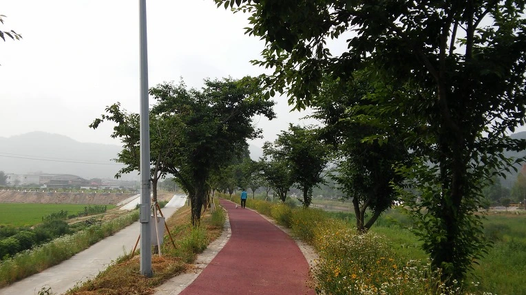 211695355767503C1B2FF6