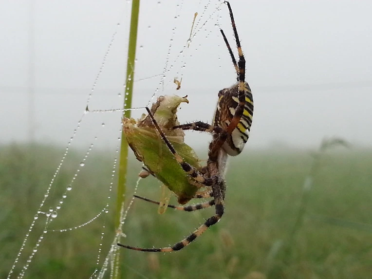 230E254C553D9D13069A3B