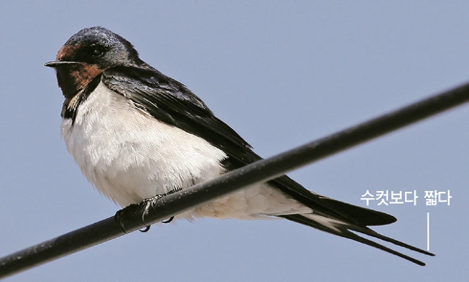 ?fname=http%3A%2F%2Ft1.daumcdn.net%2Fencyclop%2Fm120%2FpTcLsBsDUEkBW8US74DS3mAZbmm44idK9WwHRPjr%3Ft%3D1456986094000%3Ft%3D1468450800000