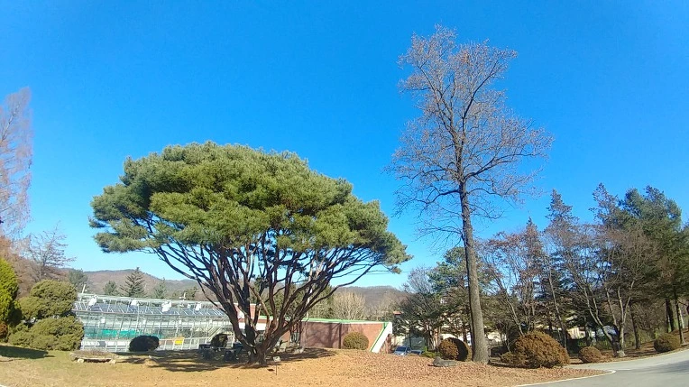 999FC5375C275B170183F9