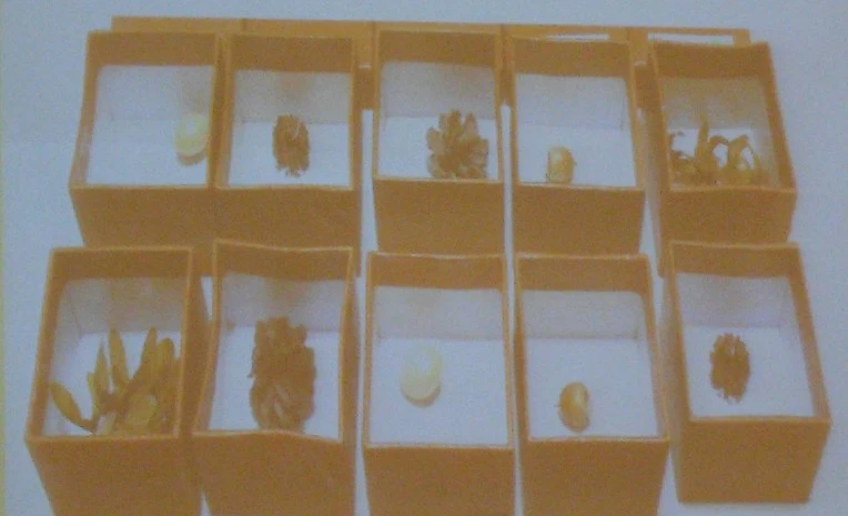 2419BF3A56FA7228332522