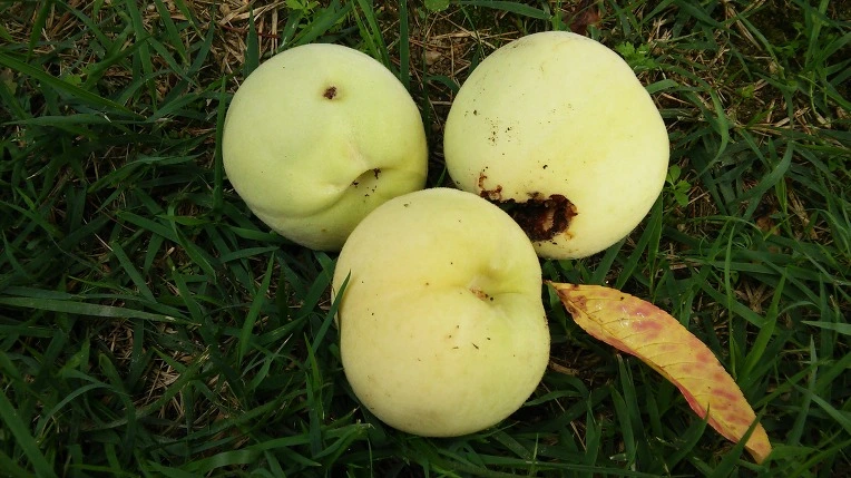 2236B73A5796DC7A1C0B27