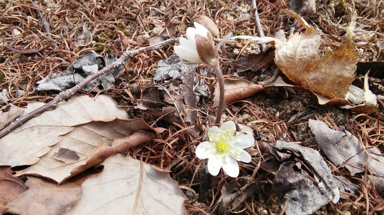 2710114156F4DC8C27F66A