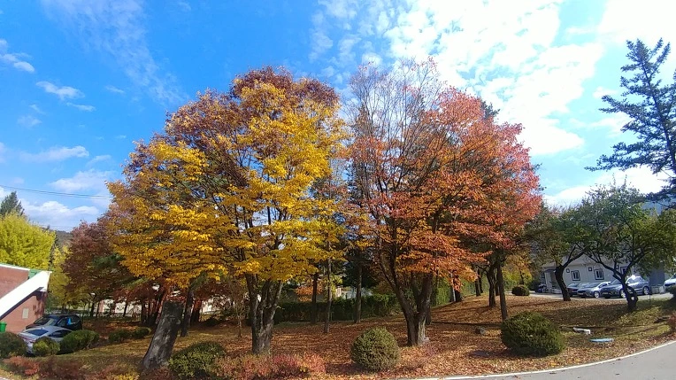 997694395C2326B52A4790