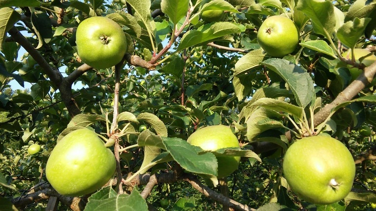 265F274E576F8047334F66