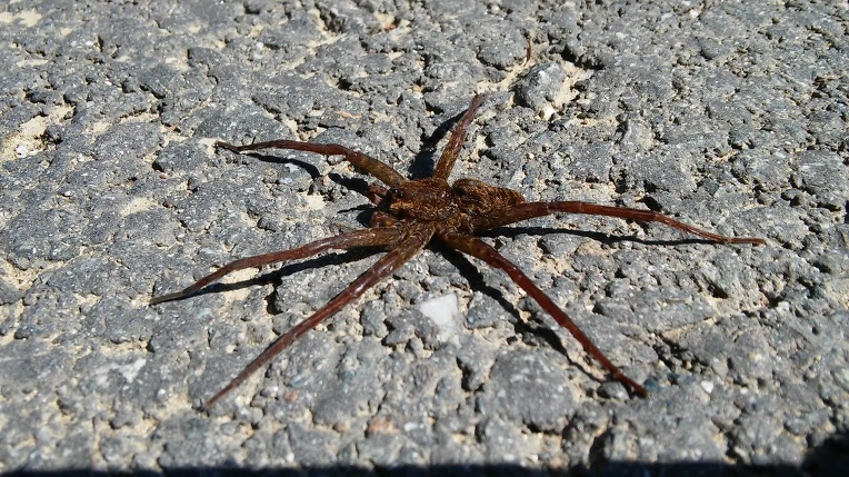 216A8B4455F11E7A1CC0A7