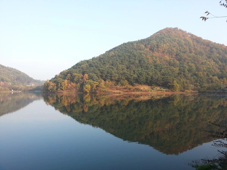 256CAE4856946FFA08CB83