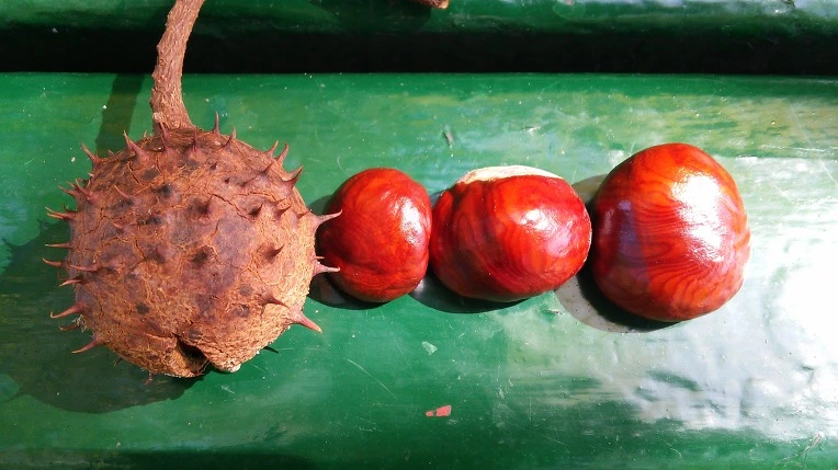 23290544560E045D0AF428