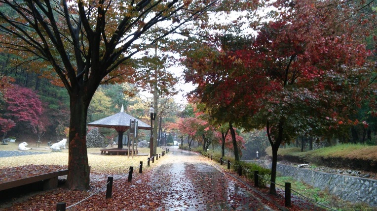 27235C34562F1F0912FD2D