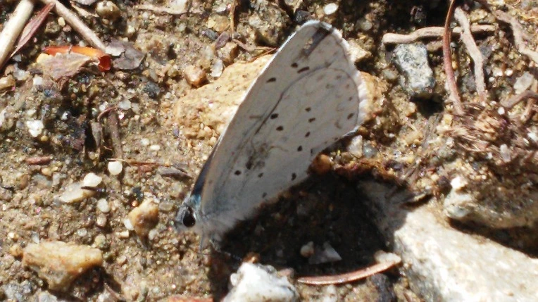 22206D425699F14E31615B