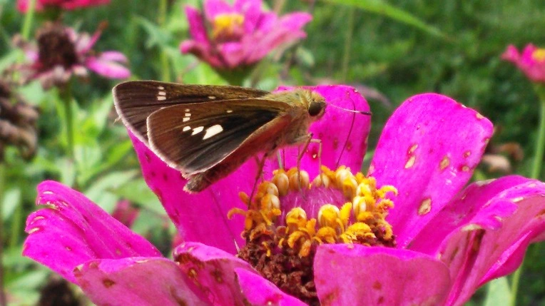 999F3C33599E1B3E13A0D6