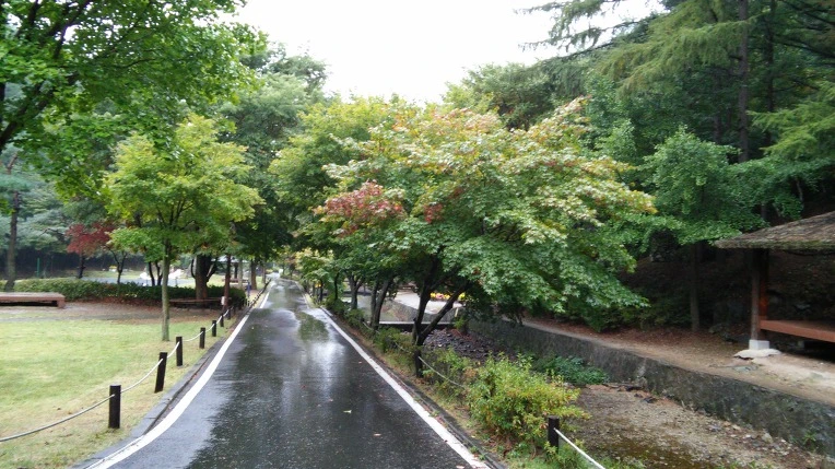 27139234560D7F111E425B