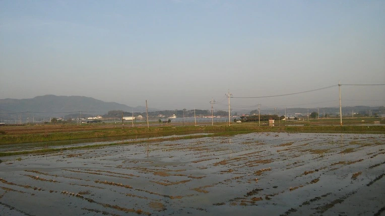 271A5A3B571E9C191E665B