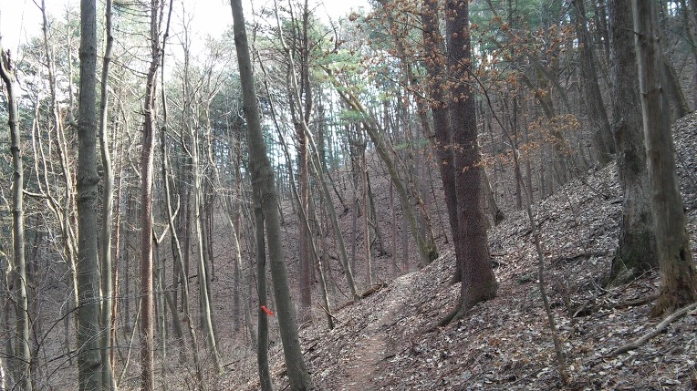 2155C83C56F3916208637A