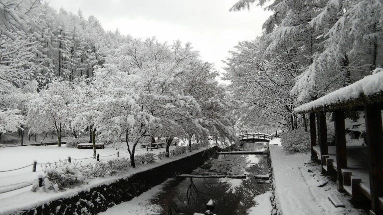 2741D139565F94632D3CA9