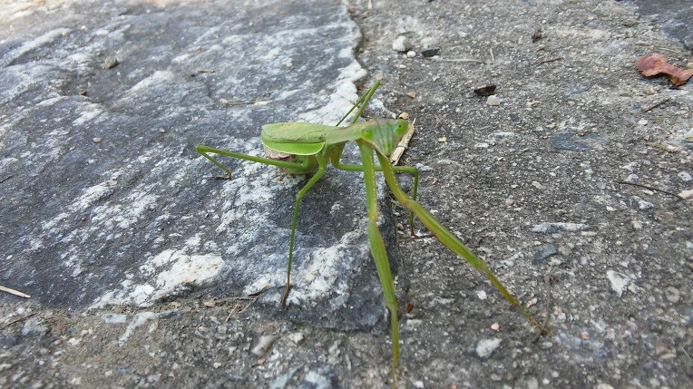 26361B335600FDFF27572A