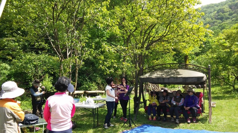 22665539572E69B0339FE6