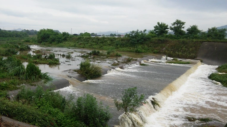 274DBA4F577B3992124D56