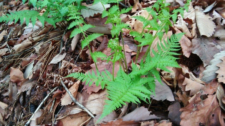 235F614F571AD0BF08BA42