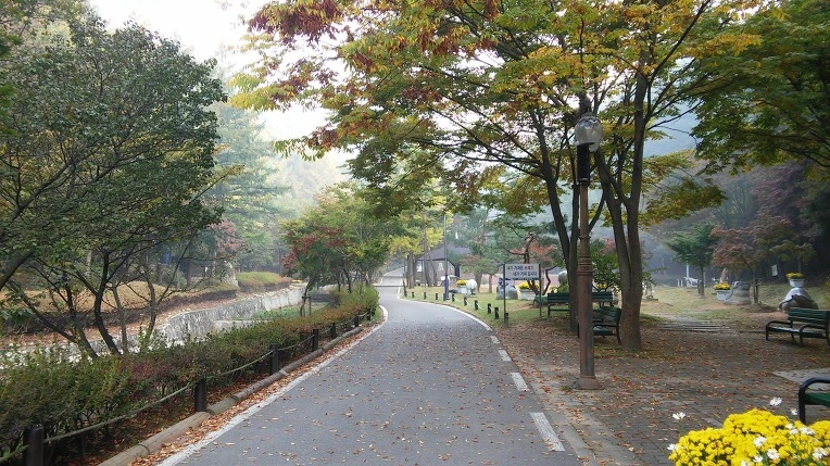 2348E43C5620A66F0E174C