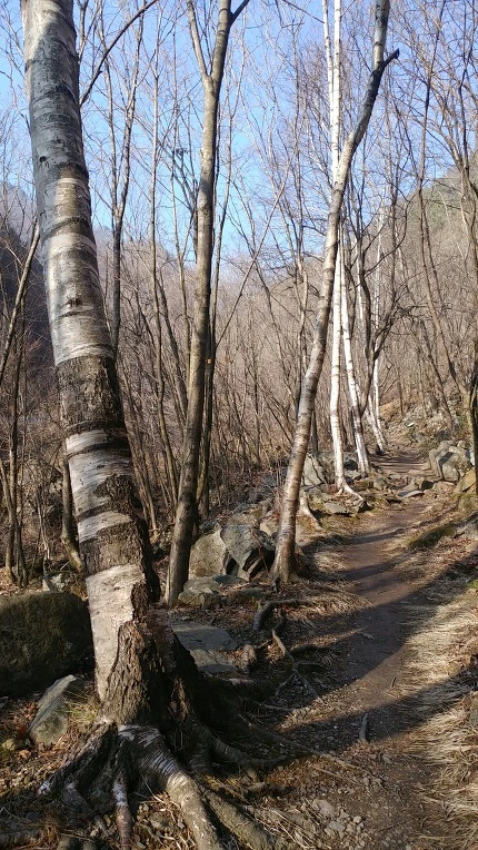 99D204345EBE1E0D261D60