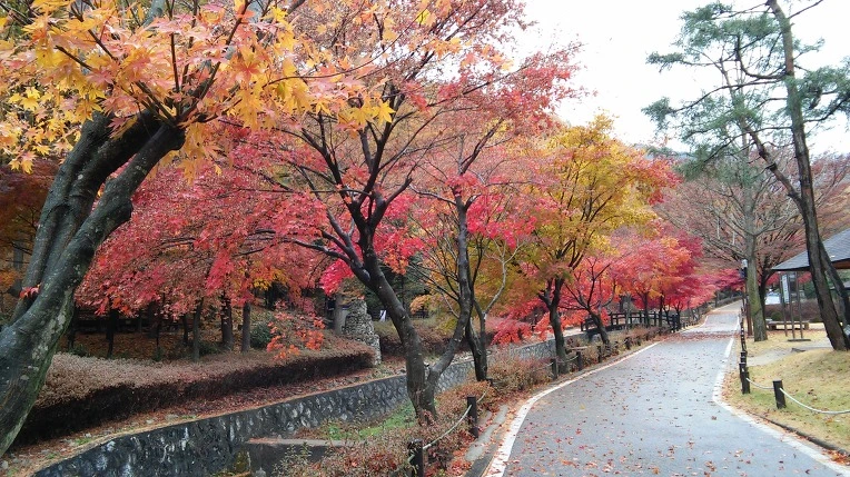 26614D3A563D844F12C069