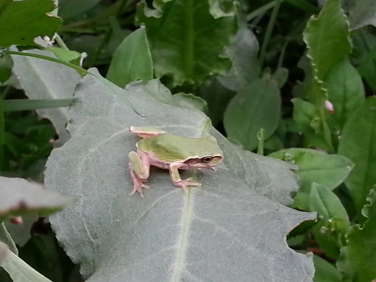 2361FC4856B024D02D8BBC