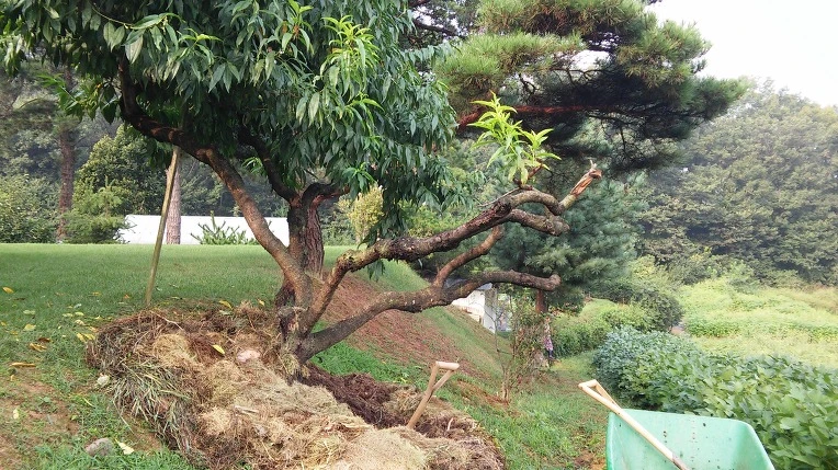 2510B33957D0BA0C05CE2F