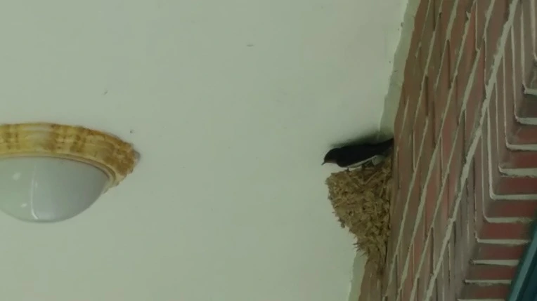 998330465D467B2E24ED93