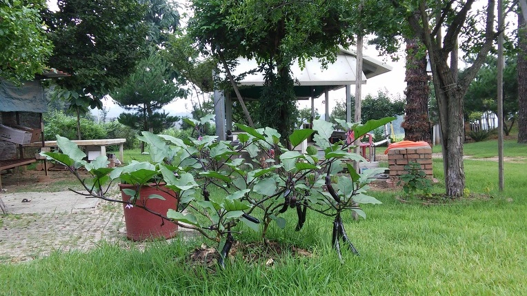 2546403E57B27FF220F62F