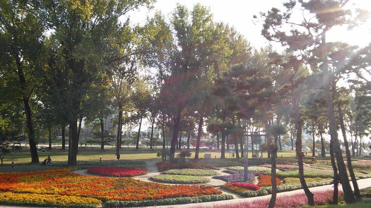 99D1453359E6B29C2C6053