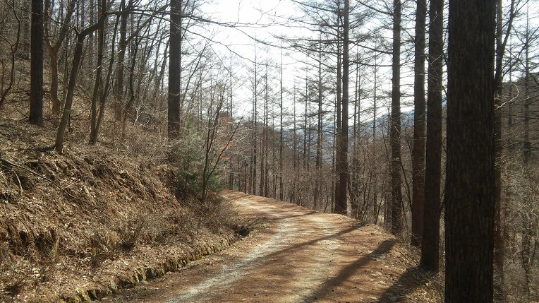 21078A3B56E4ECFF04EB81