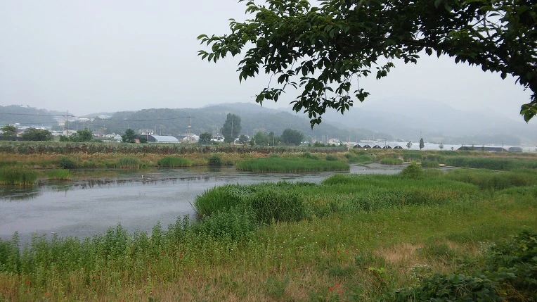 222F0C3557675054043B35