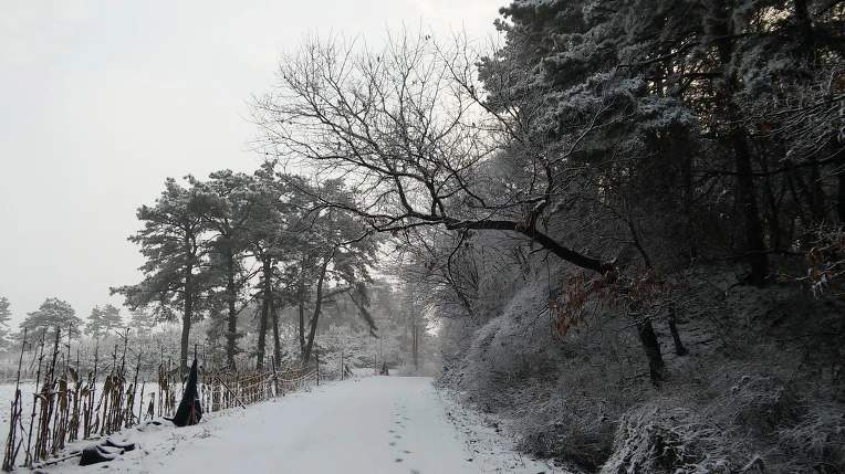 2433FB4056D10AF52A6896