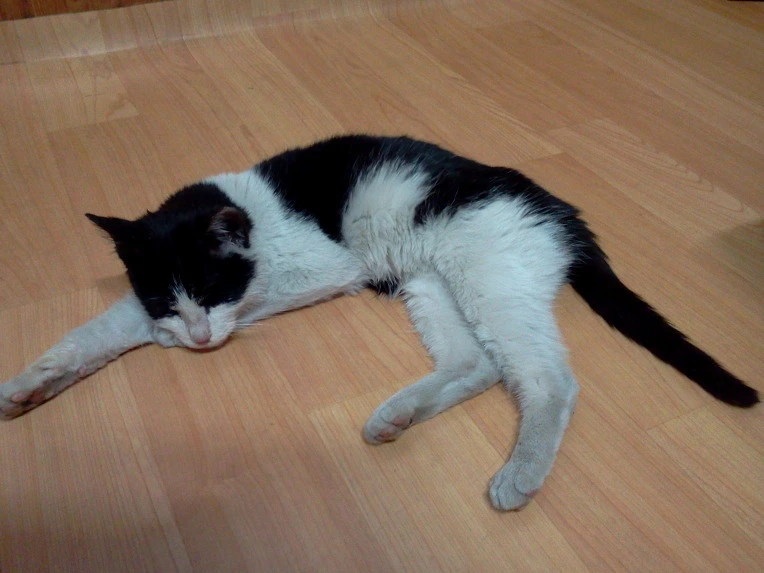 16202F475142A57C039973